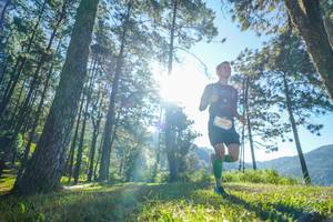 BIB: 
                            <button type="button" onclick="openModal(19279578)" class="btn btn-primary btn-sm float-right btn-popup" data-toggle="modal" data-target=".modal-high-quality">
                        <i class="fas fa-shopping-cart"></i> Add to Cart
                    </button>
                                            <button type="button" onclick="isThisMe(19279578, true)" class="btn btn-success btn-sm float-right btn-popup btn-isme hidden" data-toggle="tooltip" data-placement="bottom" title="นี่คือรูปของคุณใช่ไหม คลิกที่นี่เพื่อเอาเข้าอัลบั้ม">
                        <i class="fas fa-plus"></i> Add to album
                    </button>
                    <button type="button" onclick="isThisMe(19279578, false)" class="btn btn-warning btn-sm float-right btn-popup btn-isnotme hidden">
                        <i class="fas fa-ban"></i> Remove from album
                    </button>