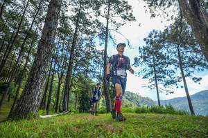 BIB: 
                            <button type="button" onclick="openModal(19286008)" class="btn btn-primary btn-sm float-right btn-popup" data-toggle="modal" data-target=".modal-high-quality">
                        <i class="fas fa-shopping-cart"></i> Add to Cart
                    </button>
                                            <button type="button" onclick="isThisMe(19286008, true)" class="btn btn-success btn-sm float-right btn-popup btn-isme hidden" data-toggle="tooltip" data-placement="bottom" title="นี่คือรูปของคุณใช่ไหม คลิกที่นี่เพื่อเอาเข้าอัลบั้ม">
                        <i class="fas fa-plus"></i> Add to album
                    </button>
                    <button type="button" onclick="isThisMe(19286008, false)" class="btn btn-warning btn-sm float-right btn-popup btn-isnotme hidden">
                        <i class="fas fa-ban"></i> Remove from album
                    </button>