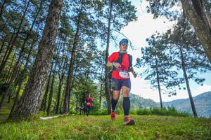 BIB: 
                            <button type="button" onclick="openModal(19283458)" class="btn btn-primary btn-sm float-right btn-popup" data-toggle="modal" data-target=".modal-high-quality">
                        <i class="fas fa-shopping-cart"></i> Add to Cart
                    </button>
                                            <button type="button" onclick="isThisMe(19283458, true)" class="btn btn-success btn-sm float-right btn-popup btn-isme hidden" data-toggle="tooltip" data-placement="bottom" title="นี่คือรูปของคุณใช่ไหม คลิกที่นี่เพื่อเอาเข้าอัลบั้ม">
                        <i class="fas fa-plus"></i> Add to album
                    </button>
                    <button type="button" onclick="isThisMe(19283458, false)" class="btn btn-warning btn-sm float-right btn-popup btn-isnotme hidden">
                        <i class="fas fa-ban"></i> Remove from album
                    </button>