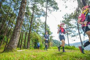 BIB: 
                            <button type="button" onclick="openModal(19288186)" class="btn btn-primary btn-sm float-right btn-popup" data-toggle="modal" data-target=".modal-high-quality">
                        <i class="fas fa-shopping-cart"></i> Add to Cart
                    </button>
                                            <button type="button" onclick="isThisMe(19288186, true)" class="btn btn-success btn-sm float-right btn-popup btn-isme hidden" data-toggle="tooltip" data-placement="bottom" title="นี่คือรูปของคุณใช่ไหม คลิกที่นี่เพื่อเอาเข้าอัลบั้ม">
                        <i class="fas fa-plus"></i> Add to album
                    </button>
                    <button type="button" onclick="isThisMe(19288186, false)" class="btn btn-warning btn-sm float-right btn-popup btn-isnotme hidden">
                        <i class="fas fa-ban"></i> Remove from album
                    </button>