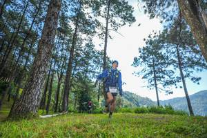 BIB: 2301
                            <button type="button" onclick="openModal(19280997)" class="btn btn-primary btn-sm float-right btn-popup" data-toggle="modal" data-target=".modal-high-quality">
                        <i class="fas fa-shopping-cart"></i> Add to Cart
                    </button>
                                            <button type="button" onclick="isThisMe(19280997, true)" class="btn btn-success btn-sm float-right btn-popup btn-isme hidden" data-toggle="tooltip" data-placement="bottom" title="นี่คือรูปของคุณใช่ไหม คลิกที่นี่เพื่อเอาเข้าอัลบั้ม">
                        <i class="fas fa-plus"></i> Add to album
                    </button>
                    <button type="button" onclick="isThisMe(19280997, false)" class="btn btn-warning btn-sm float-right btn-popup btn-isnotme hidden">
                        <i class="fas fa-ban"></i> Remove from album
                    </button>