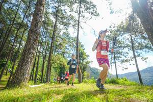 BIB: 
                            <button type="button" onclick="openModal(19289415)" class="btn btn-primary btn-sm float-right btn-popup" data-toggle="modal" data-target=".modal-high-quality">
                        <i class="fas fa-shopping-cart"></i> Add to Cart
                    </button>
                                            <button type="button" onclick="isThisMe(19289415, true)" class="btn btn-success btn-sm float-right btn-popup btn-isme hidden" data-toggle="tooltip" data-placement="bottom" title="นี่คือรูปของคุณใช่ไหม คลิกที่นี่เพื่อเอาเข้าอัลบั้ม">
                        <i class="fas fa-plus"></i> Add to album
                    </button>
                    <button type="button" onclick="isThisMe(19289415, false)" class="btn btn-warning btn-sm float-right btn-popup btn-isnotme hidden">
                        <i class="fas fa-ban"></i> Remove from album
                    </button>