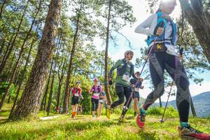 BIB: 
                            <button type="button" onclick="openModal(19290021)" class="btn btn-primary btn-sm float-right btn-popup" data-toggle="modal" data-target=".modal-high-quality">
                        <i class="fas fa-shopping-cart"></i> Add to Cart
                    </button>
                                            <button type="button" onclick="isThisMe(19290021, true)" class="btn btn-success btn-sm float-right btn-popup btn-isme hidden" data-toggle="tooltip" data-placement="bottom" title="นี่คือรูปของคุณใช่ไหม คลิกที่นี่เพื่อเอาเข้าอัลบั้ม">
                        <i class="fas fa-plus"></i> Add to album
                    </button>
                    <button type="button" onclick="isThisMe(19290021, false)" class="btn btn-warning btn-sm float-right btn-popup btn-isnotme hidden">
                        <i class="fas fa-ban"></i> Remove from album
                    </button>