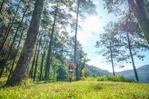 BIB: 
                            <button type="button" onclick="openModal(19281350)" class="btn btn-primary btn-sm float-right btn-popup" data-toggle="modal" data-target=".modal-high-quality">
                        <i class="fas fa-shopping-cart"></i> Add to Cart
                    </button>
                                            <button type="button" onclick="isThisMe(19281350, true)" class="btn btn-success btn-sm float-right btn-popup btn-isme hidden" data-toggle="tooltip" data-placement="bottom" title="นี่คือรูปของคุณใช่ไหม คลิกที่นี่เพื่อเอาเข้าอัลบั้ม">
                        <i class="fas fa-plus"></i> Add to album
                    </button>
                    <button type="button" onclick="isThisMe(19281350, false)" class="btn btn-warning btn-sm float-right btn-popup btn-isnotme hidden">
                        <i class="fas fa-ban"></i> Remove from album
                    </button>