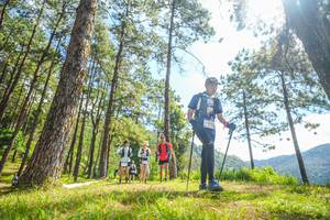 BIB: 
                            <button type="button" onclick="openModal(19290497)" class="btn btn-primary btn-sm float-right btn-popup" data-toggle="modal" data-target=".modal-high-quality">
                        <i class="fas fa-shopping-cart"></i> Add to Cart
                    </button>
                                            <button type="button" onclick="isThisMe(19290497, true)" class="btn btn-success btn-sm float-right btn-popup btn-isme hidden" data-toggle="tooltip" data-placement="bottom" title="นี่คือรูปของคุณใช่ไหม คลิกที่นี่เพื่อเอาเข้าอัลบั้ม">
                        <i class="fas fa-plus"></i> Add to album
                    </button>
                    <button type="button" onclick="isThisMe(19290497, false)" class="btn btn-warning btn-sm float-right btn-popup btn-isnotme hidden">
                        <i class="fas fa-ban"></i> Remove from album
                    </button>