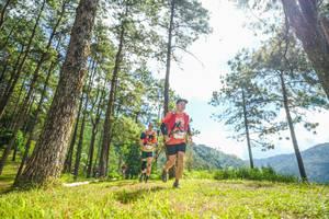 BIB: 
                            <button type="button" onclick="openModal(19287044)" class="btn btn-primary btn-sm float-right btn-popup" data-toggle="modal" data-target=".modal-high-quality">
                        <i class="fas fa-shopping-cart"></i> Add to Cart
                    </button>
                                            <button type="button" onclick="isThisMe(19287044, true)" class="btn btn-success btn-sm float-right btn-popup btn-isme hidden" data-toggle="tooltip" data-placement="bottom" title="นี่คือรูปของคุณใช่ไหม คลิกที่นี่เพื่อเอาเข้าอัลบั้ม">
                        <i class="fas fa-plus"></i> Add to album
                    </button>
                    <button type="button" onclick="isThisMe(19287044, false)" class="btn btn-warning btn-sm float-right btn-popup btn-isnotme hidden">
                        <i class="fas fa-ban"></i> Remove from album
                    </button>