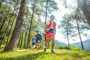 BIB: 
                            <button type="button" onclick="openModal(19289083)" class="btn btn-primary btn-sm float-right btn-popup" data-toggle="modal" data-target=".modal-high-quality">
                        <i class="fas fa-shopping-cart"></i> Add to Cart
                    </button>
                                            <button type="button" onclick="isThisMe(19289083, true)" class="btn btn-success btn-sm float-right btn-popup btn-isme hidden" data-toggle="tooltip" data-placement="bottom" title="นี่คือรูปของคุณใช่ไหม คลิกที่นี่เพื่อเอาเข้าอัลบั้ม">
                        <i class="fas fa-plus"></i> Add to album
                    </button>
                    <button type="button" onclick="isThisMe(19289083, false)" class="btn btn-warning btn-sm float-right btn-popup btn-isnotme hidden">
                        <i class="fas fa-ban"></i> Remove from album
                    </button>