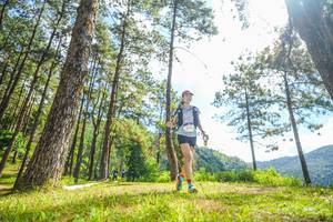 BIB: 3721
                            <button type="button" onclick="openModal(19290190)" class="btn btn-primary btn-sm float-right btn-popup" data-toggle="modal" data-target=".modal-high-quality">
                        <i class="fas fa-shopping-cart"></i> Add to Cart
                    </button>
                                            <button type="button" onclick="isThisMe(19290190, true)" class="btn btn-success btn-sm float-right btn-popup btn-isme hidden" data-toggle="tooltip" data-placement="bottom" title="นี่คือรูปของคุณใช่ไหม คลิกที่นี่เพื่อเอาเข้าอัลบั้ม">
                        <i class="fas fa-plus"></i> Add to album
                    </button>
                    <button type="button" onclick="isThisMe(19290190, false)" class="btn btn-warning btn-sm float-right btn-popup btn-isnotme hidden">
                        <i class="fas fa-ban"></i> Remove from album
                    </button>