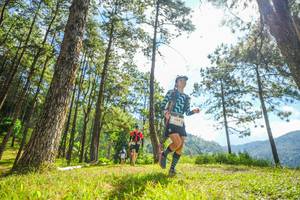 BIB: 5464
                            <button type="button" onclick="openModal(19287154)" class="btn btn-primary btn-sm float-right btn-popup" data-toggle="modal" data-target=".modal-high-quality">
                        <i class="fas fa-shopping-cart"></i> Add to Cart
                    </button>
                                            <button type="button" onclick="isThisMe(19287154, true)" class="btn btn-success btn-sm float-right btn-popup btn-isme hidden" data-toggle="tooltip" data-placement="bottom" title="นี่คือรูปของคุณใช่ไหม คลิกที่นี่เพื่อเอาเข้าอัลบั้ม">
                        <i class="fas fa-plus"></i> Add to album
                    </button>
                    <button type="button" onclick="isThisMe(19287154, false)" class="btn btn-warning btn-sm float-right btn-popup btn-isnotme hidden">
                        <i class="fas fa-ban"></i> Remove from album
                    </button>