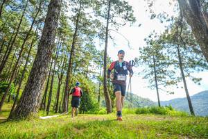 BIB: 
                            <button type="button" onclick="openModal(19288893)" class="btn btn-primary btn-sm float-right btn-popup" data-toggle="modal" data-target=".modal-high-quality">
                        <i class="fas fa-shopping-cart"></i> Add to Cart
                    </button>
                                            <button type="button" onclick="isThisMe(19288893, true)" class="btn btn-success btn-sm float-right btn-popup btn-isme hidden" data-toggle="tooltip" data-placement="bottom" title="นี่คือรูปของคุณใช่ไหม คลิกที่นี่เพื่อเอาเข้าอัลบั้ม">
                        <i class="fas fa-plus"></i> Add to album
                    </button>
                    <button type="button" onclick="isThisMe(19288893, false)" class="btn btn-warning btn-sm float-right btn-popup btn-isnotme hidden">
                        <i class="fas fa-ban"></i> Remove from album
                    </button>