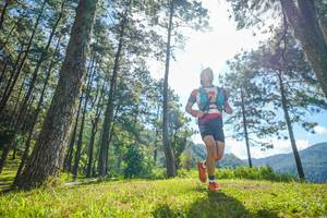 BIB: 
                            <button type="button" onclick="openModal(19281793)" class="btn btn-primary btn-sm float-right btn-popup" data-toggle="modal" data-target=".modal-high-quality">
                        <i class="fas fa-shopping-cart"></i> Add to Cart
                    </button>
                                            <button type="button" onclick="isThisMe(19281793, true)" class="btn btn-success btn-sm float-right btn-popup btn-isme hidden" data-toggle="tooltip" data-placement="bottom" title="นี่คือรูปของคุณใช่ไหม คลิกที่นี่เพื่อเอาเข้าอัลบั้ม">
                        <i class="fas fa-plus"></i> Add to album
                    </button>
                    <button type="button" onclick="isThisMe(19281793, false)" class="btn btn-warning btn-sm float-right btn-popup btn-isnotme hidden">
                        <i class="fas fa-ban"></i> Remove from album
                    </button>