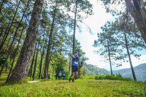 BIB: 
                            <button type="button" onclick="openModal(19285427)" class="btn btn-primary btn-sm float-right btn-popup" data-toggle="modal" data-target=".modal-high-quality">
                        <i class="fas fa-shopping-cart"></i> Add to Cart
                    </button>
                                            <button type="button" onclick="isThisMe(19285427, true)" class="btn btn-success btn-sm float-right btn-popup btn-isme hidden" data-toggle="tooltip" data-placement="bottom" title="นี่คือรูปของคุณใช่ไหม คลิกที่นี่เพื่อเอาเข้าอัลบั้ม">
                        <i class="fas fa-plus"></i> Add to album
                    </button>
                    <button type="button" onclick="isThisMe(19285427, false)" class="btn btn-warning btn-sm float-right btn-popup btn-isnotme hidden">
                        <i class="fas fa-ban"></i> Remove from album
                    </button>