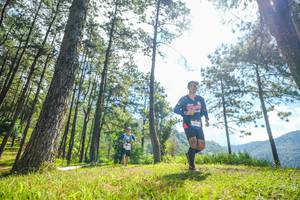 BIB: 
                            <button type="button" onclick="openModal(19285913)" class="btn btn-primary btn-sm float-right btn-popup" data-toggle="modal" data-target=".modal-high-quality">
                        <i class="fas fa-shopping-cart"></i> Add to Cart
                    </button>
                                            <button type="button" onclick="isThisMe(19285913, true)" class="btn btn-success btn-sm float-right btn-popup btn-isme hidden" data-toggle="tooltip" data-placement="bottom" title="นี่คือรูปของคุณใช่ไหม คลิกที่นี่เพื่อเอาเข้าอัลบั้ม">
                        <i class="fas fa-plus"></i> Add to album
                    </button>
                    <button type="button" onclick="isThisMe(19285913, false)" class="btn btn-warning btn-sm float-right btn-popup btn-isnotme hidden">
                        <i class="fas fa-ban"></i> Remove from album
                    </button>