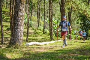 BIB: 
                            <button type="button" onclick="openModal(19291855)" class="btn btn-primary btn-sm float-right btn-popup" data-toggle="modal" data-target=".modal-high-quality">
                        <i class="fas fa-shopping-cart"></i> Add to Cart
                    </button>
                                            <button type="button" onclick="isThisMe(19291855, true)" class="btn btn-success btn-sm float-right btn-popup btn-isme hidden" data-toggle="tooltip" data-placement="bottom" title="นี่คือรูปของคุณใช่ไหม คลิกที่นี่เพื่อเอาเข้าอัลบั้ม">
                        <i class="fas fa-plus"></i> Add to album
                    </button>
                    <button type="button" onclick="isThisMe(19291855, false)" class="btn btn-warning btn-sm float-right btn-popup btn-isnotme hidden">
                        <i class="fas fa-ban"></i> Remove from album
                    </button>