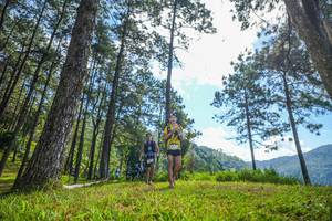 BIB: 
                            <button type="button" onclick="openModal(19282064)" class="btn btn-primary btn-sm float-right btn-popup" data-toggle="modal" data-target=".modal-high-quality">
                        <i class="fas fa-shopping-cart"></i> Add to Cart
                    </button>
                                            <button type="button" onclick="isThisMe(19282064, true)" class="btn btn-success btn-sm float-right btn-popup btn-isme hidden" data-toggle="tooltip" data-placement="bottom" title="นี่คือรูปของคุณใช่ไหม คลิกที่นี่เพื่อเอาเข้าอัลบั้ม">
                        <i class="fas fa-plus"></i> Add to album
                    </button>
                    <button type="button" onclick="isThisMe(19282064, false)" class="btn btn-warning btn-sm float-right btn-popup btn-isnotme hidden">
                        <i class="fas fa-ban"></i> Remove from album
                    </button>