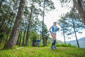 BIB: 
                            <button type="button" onclick="openModal(19287795)" class="btn btn-primary btn-sm float-right btn-popup" data-toggle="modal" data-target=".modal-high-quality">
                        <i class="fas fa-shopping-cart"></i> Add to Cart
                    </button>
                                            <button type="button" onclick="isThisMe(19287795, true)" class="btn btn-success btn-sm float-right btn-popup btn-isme hidden" data-toggle="tooltip" data-placement="bottom" title="นี่คือรูปของคุณใช่ไหม คลิกที่นี่เพื่อเอาเข้าอัลบั้ม">
                        <i class="fas fa-plus"></i> Add to album
                    </button>
                    <button type="button" onclick="isThisMe(19287795, false)" class="btn btn-warning btn-sm float-right btn-popup btn-isnotme hidden">
                        <i class="fas fa-ban"></i> Remove from album
                    </button>