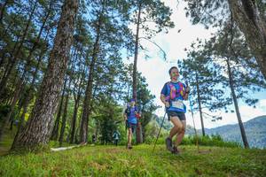 BIB: 
                            <button type="button" onclick="openModal(19284942)" class="btn btn-primary btn-sm float-right btn-popup" data-toggle="modal" data-target=".modal-high-quality">
                        <i class="fas fa-shopping-cart"></i> Add to Cart
                    </button>
                                            <button type="button" onclick="isThisMe(19284942, true)" class="btn btn-success btn-sm float-right btn-popup btn-isme hidden" data-toggle="tooltip" data-placement="bottom" title="นี่คือรูปของคุณใช่ไหม คลิกที่นี่เพื่อเอาเข้าอัลบั้ม">
                        <i class="fas fa-plus"></i> Add to album
                    </button>
                    <button type="button" onclick="isThisMe(19284942, false)" class="btn btn-warning btn-sm float-right btn-popup btn-isnotme hidden">
                        <i class="fas fa-ban"></i> Remove from album
                    </button>