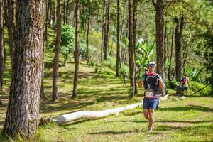 BIB: 
                            <button type="button" onclick="openModal(19291793)" class="btn btn-primary btn-sm float-right btn-popup" data-toggle="modal" data-target=".modal-high-quality">
                        <i class="fas fa-shopping-cart"></i> Add to Cart
                    </button>
                                            <button type="button" onclick="isThisMe(19291793, true)" class="btn btn-success btn-sm float-right btn-popup btn-isme hidden" data-toggle="tooltip" data-placement="bottom" title="นี่คือรูปของคุณใช่ไหม คลิกที่นี่เพื่อเอาเข้าอัลบั้ม">
                        <i class="fas fa-plus"></i> Add to album
                    </button>
                    <button type="button" onclick="isThisMe(19291793, false)" class="btn btn-warning btn-sm float-right btn-popup btn-isnotme hidden">
                        <i class="fas fa-ban"></i> Remove from album
                    </button>