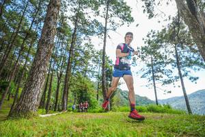 BIB: 
                            <button type="button" onclick="openModal(19288170)" class="btn btn-primary btn-sm float-right btn-popup" data-toggle="modal" data-target=".modal-high-quality">
                        <i class="fas fa-shopping-cart"></i> Add to Cart
                    </button>
                                            <button type="button" onclick="isThisMe(19288170, true)" class="btn btn-success btn-sm float-right btn-popup btn-isme hidden" data-toggle="tooltip" data-placement="bottom" title="นี่คือรูปของคุณใช่ไหม คลิกที่นี่เพื่อเอาเข้าอัลบั้ม">
                        <i class="fas fa-plus"></i> Add to album
                    </button>
                    <button type="button" onclick="isThisMe(19288170, false)" class="btn btn-warning btn-sm float-right btn-popup btn-isnotme hidden">
                        <i class="fas fa-ban"></i> Remove from album
                    </button>