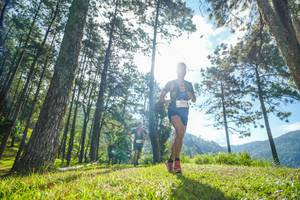 BIB: 
                            <button type="button" onclick="openModal(19280470)" class="btn btn-primary btn-sm float-right btn-popup" data-toggle="modal" data-target=".modal-high-quality">
                        <i class="fas fa-shopping-cart"></i> Add to Cart
                    </button>
                                            <button type="button" onclick="isThisMe(19280470, true)" class="btn btn-success btn-sm float-right btn-popup btn-isme hidden" data-toggle="tooltip" data-placement="bottom" title="นี่คือรูปของคุณใช่ไหม คลิกที่นี่เพื่อเอาเข้าอัลบั้ม">
                        <i class="fas fa-plus"></i> Add to album
                    </button>
                    <button type="button" onclick="isThisMe(19280470, false)" class="btn btn-warning btn-sm float-right btn-popup btn-isnotme hidden">
                        <i class="fas fa-ban"></i> Remove from album
                    </button>