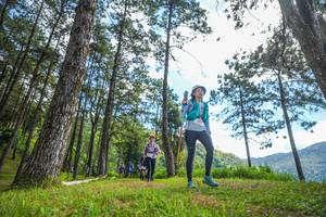 BIB: 
                            <button type="button" onclick="openModal(19290126)" class="btn btn-primary btn-sm float-right btn-popup" data-toggle="modal" data-target=".modal-high-quality">
                        <i class="fas fa-shopping-cart"></i> Add to Cart
                    </button>
                                            <button type="button" onclick="isThisMe(19290126, true)" class="btn btn-success btn-sm float-right btn-popup btn-isme hidden" data-toggle="tooltip" data-placement="bottom" title="นี่คือรูปของคุณใช่ไหม คลิกที่นี่เพื่อเอาเข้าอัลบั้ม">
                        <i class="fas fa-plus"></i> Add to album
                    </button>
                    <button type="button" onclick="isThisMe(19290126, false)" class="btn btn-warning btn-sm float-right btn-popup btn-isnotme hidden">
                        <i class="fas fa-ban"></i> Remove from album
                    </button>