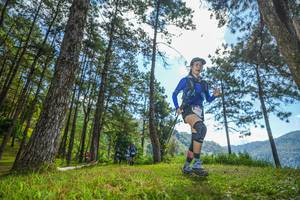 BIB: 
                            <button type="button" onclick="openModal(19282787)" class="btn btn-primary btn-sm float-right btn-popup" data-toggle="modal" data-target=".modal-high-quality">
                        <i class="fas fa-shopping-cart"></i> Add to Cart
                    </button>
                                            <button type="button" onclick="isThisMe(19282787, true)" class="btn btn-success btn-sm float-right btn-popup btn-isme hidden" data-toggle="tooltip" data-placement="bottom" title="นี่คือรูปของคุณใช่ไหม คลิกที่นี่เพื่อเอาเข้าอัลบั้ม">
                        <i class="fas fa-plus"></i> Add to album
                    </button>
                    <button type="button" onclick="isThisMe(19282787, false)" class="btn btn-warning btn-sm float-right btn-popup btn-isnotme hidden">
                        <i class="fas fa-ban"></i> Remove from album
                    </button>