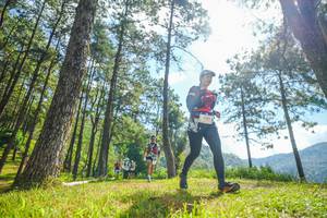 BIB: 1300
                            <button type="button" onclick="openModal(19286754)" class="btn btn-primary btn-sm float-right btn-popup" data-toggle="modal" data-target=".modal-high-quality">
                        <i class="fas fa-shopping-cart"></i> Add to Cart
                    </button>
                                            <button type="button" onclick="isThisMe(19286754, true)" class="btn btn-success btn-sm float-right btn-popup btn-isme hidden" data-toggle="tooltip" data-placement="bottom" title="นี่คือรูปของคุณใช่ไหม คลิกที่นี่เพื่อเอาเข้าอัลบั้ม">
                        <i class="fas fa-plus"></i> Add to album
                    </button>
                    <button type="button" onclick="isThisMe(19286754, false)" class="btn btn-warning btn-sm float-right btn-popup btn-isnotme hidden">
                        <i class="fas fa-ban"></i> Remove from album
                    </button>