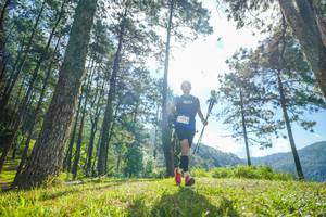 BIB: 
                            <button type="button" onclick="openModal(19280686)" class="btn btn-primary btn-sm float-right btn-popup" data-toggle="modal" data-target=".modal-high-quality">
                        <i class="fas fa-shopping-cart"></i> Add to Cart
                    </button>
                                            <button type="button" onclick="isThisMe(19280686, true)" class="btn btn-success btn-sm float-right btn-popup btn-isme hidden" data-toggle="tooltip" data-placement="bottom" title="นี่คือรูปของคุณใช่ไหม คลิกที่นี่เพื่อเอาเข้าอัลบั้ม">
                        <i class="fas fa-plus"></i> Add to album
                    </button>
                    <button type="button" onclick="isThisMe(19280686, false)" class="btn btn-warning btn-sm float-right btn-popup btn-isnotme hidden">
                        <i class="fas fa-ban"></i> Remove from album
                    </button>