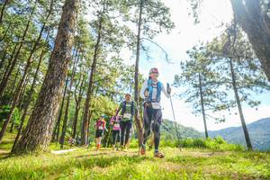 BIB: 
                            <button type="button" onclick="openModal(19290013)" class="btn btn-primary btn-sm float-right btn-popup" data-toggle="modal" data-target=".modal-high-quality">
                        <i class="fas fa-shopping-cart"></i> Add to Cart
                    </button>
                                            <button type="button" onclick="isThisMe(19290013, true)" class="btn btn-success btn-sm float-right btn-popup btn-isme hidden" data-toggle="tooltip" data-placement="bottom" title="นี่คือรูปของคุณใช่ไหม คลิกที่นี่เพื่อเอาเข้าอัลบั้ม">
                        <i class="fas fa-plus"></i> Add to album
                    </button>
                    <button type="button" onclick="isThisMe(19290013, false)" class="btn btn-warning btn-sm float-right btn-popup btn-isnotme hidden">
                        <i class="fas fa-ban"></i> Remove from album
                    </button>