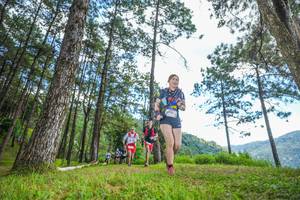 BIB: 
                            <button type="button" onclick="openModal(19288053)" class="btn btn-primary btn-sm float-right btn-popup" data-toggle="modal" data-target=".modal-high-quality">
                        <i class="fas fa-shopping-cart"></i> Add to Cart
                    </button>
                                            <button type="button" onclick="isThisMe(19288053, true)" class="btn btn-success btn-sm float-right btn-popup btn-isme hidden" data-toggle="tooltip" data-placement="bottom" title="นี่คือรูปของคุณใช่ไหม คลิกที่นี่เพื่อเอาเข้าอัลบั้ม">
                        <i class="fas fa-plus"></i> Add to album
                    </button>
                    <button type="button" onclick="isThisMe(19288053, false)" class="btn btn-warning btn-sm float-right btn-popup btn-isnotme hidden">
                        <i class="fas fa-ban"></i> Remove from album
                    </button>