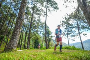 BIB: 
                            <button type="button" onclick="openModal(19287526)" class="btn btn-primary btn-sm float-right btn-popup" data-toggle="modal" data-target=".modal-high-quality">
                        <i class="fas fa-shopping-cart"></i> Add to Cart
                    </button>
                                            <button type="button" onclick="isThisMe(19287526, true)" class="btn btn-success btn-sm float-right btn-popup btn-isme hidden" data-toggle="tooltip" data-placement="bottom" title="นี่คือรูปของคุณใช่ไหม คลิกที่นี่เพื่อเอาเข้าอัลบั้ม">
                        <i class="fas fa-plus"></i> Add to album
                    </button>
                    <button type="button" onclick="isThisMe(19287526, false)" class="btn btn-warning btn-sm float-right btn-popup btn-isnotme hidden">
                        <i class="fas fa-ban"></i> Remove from album
                    </button>