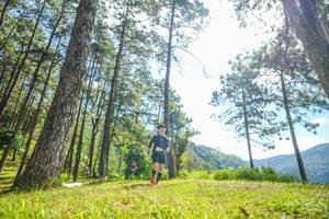 BIB: 
                            <button type="button" onclick="openModal(19283987)" class="btn btn-primary btn-sm float-right btn-popup" data-toggle="modal" data-target=".modal-high-quality">
                        <i class="fas fa-shopping-cart"></i> Add to Cart
                    </button>
                                            <button type="button" onclick="isThisMe(19283987, true)" class="btn btn-success btn-sm float-right btn-popup btn-isme hidden" data-toggle="tooltip" data-placement="bottom" title="นี่คือรูปของคุณใช่ไหม คลิกที่นี่เพื่อเอาเข้าอัลบั้ม">
                        <i class="fas fa-plus"></i> Add to album
                    </button>
                    <button type="button" onclick="isThisMe(19283987, false)" class="btn btn-warning btn-sm float-right btn-popup btn-isnotme hidden">
                        <i class="fas fa-ban"></i> Remove from album
                    </button>