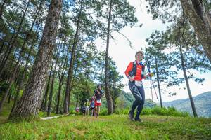 BIB: 
                            <button type="button" onclick="openModal(19288022)" class="btn btn-primary btn-sm float-right btn-popup" data-toggle="modal" data-target=".modal-high-quality">
                        <i class="fas fa-shopping-cart"></i> Add to Cart
                    </button>
                                            <button type="button" onclick="isThisMe(19288022, true)" class="btn btn-success btn-sm float-right btn-popup btn-isme hidden" data-toggle="tooltip" data-placement="bottom" title="นี่คือรูปของคุณใช่ไหม คลิกที่นี่เพื่อเอาเข้าอัลบั้ม">
                        <i class="fas fa-plus"></i> Add to album
                    </button>
                    <button type="button" onclick="isThisMe(19288022, false)" class="btn btn-warning btn-sm float-right btn-popup btn-isnotme hidden">
                        <i class="fas fa-ban"></i> Remove from album
                    </button>