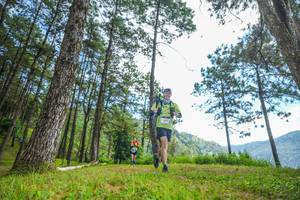 BIB: 
                            <button type="button" onclick="openModal(19287597)" class="btn btn-primary btn-sm float-right btn-popup" data-toggle="modal" data-target=".modal-high-quality">
                        <i class="fas fa-shopping-cart"></i> Add to Cart
                    </button>
                                            <button type="button" onclick="isThisMe(19287597, true)" class="btn btn-success btn-sm float-right btn-popup btn-isme hidden" data-toggle="tooltip" data-placement="bottom" title="นี่คือรูปของคุณใช่ไหม คลิกที่นี่เพื่อเอาเข้าอัลบั้ม">
                        <i class="fas fa-plus"></i> Add to album
                    </button>
                    <button type="button" onclick="isThisMe(19287597, false)" class="btn btn-warning btn-sm float-right btn-popup btn-isnotme hidden">
                        <i class="fas fa-ban"></i> Remove from album
                    </button>