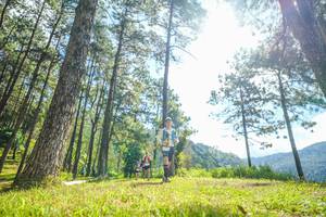 BIB: 
                            <button type="button" onclick="openModal(19285209)" class="btn btn-primary btn-sm float-right btn-popup" data-toggle="modal" data-target=".modal-high-quality">
                        <i class="fas fa-shopping-cart"></i> Add to Cart
                    </button>
                                            <button type="button" onclick="isThisMe(19285209, true)" class="btn btn-success btn-sm float-right btn-popup btn-isme hidden" data-toggle="tooltip" data-placement="bottom" title="นี่คือรูปของคุณใช่ไหม คลิกที่นี่เพื่อเอาเข้าอัลบั้ม">
                        <i class="fas fa-plus"></i> Add to album
                    </button>
                    <button type="button" onclick="isThisMe(19285209, false)" class="btn btn-warning btn-sm float-right btn-popup btn-isnotme hidden">
                        <i class="fas fa-ban"></i> Remove from album
                    </button>