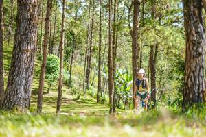 BIB: 
                            <button type="button" onclick="openModal(19292743)" class="btn btn-primary btn-sm float-right btn-popup" data-toggle="modal" data-target=".modal-high-quality">
                        <i class="fas fa-shopping-cart"></i> Add to Cart
                    </button>
                                            <button type="button" onclick="isThisMe(19292743, true)" class="btn btn-success btn-sm float-right btn-popup btn-isme hidden" data-toggle="tooltip" data-placement="bottom" title="นี่คือรูปของคุณใช่ไหม คลิกที่นี่เพื่อเอาเข้าอัลบั้ม">
                        <i class="fas fa-plus"></i> Add to album
                    </button>
                    <button type="button" onclick="isThisMe(19292743, false)" class="btn btn-warning btn-sm float-right btn-popup btn-isnotme hidden">
                        <i class="fas fa-ban"></i> Remove from album
                    </button>