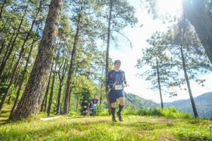 BIB: 
                            <button type="button" onclick="openModal(19290404)" class="btn btn-primary btn-sm float-right btn-popup" data-toggle="modal" data-target=".modal-high-quality">
                        <i class="fas fa-shopping-cart"></i> Add to Cart
                    </button>
                                            <button type="button" onclick="isThisMe(19290404, true)" class="btn btn-success btn-sm float-right btn-popup btn-isme hidden" data-toggle="tooltip" data-placement="bottom" title="นี่คือรูปของคุณใช่ไหม คลิกที่นี่เพื่อเอาเข้าอัลบั้ม">
                        <i class="fas fa-plus"></i> Add to album
                    </button>
                    <button type="button" onclick="isThisMe(19290404, false)" class="btn btn-warning btn-sm float-right btn-popup btn-isnotme hidden">
                        <i class="fas fa-ban"></i> Remove from album
                    </button>