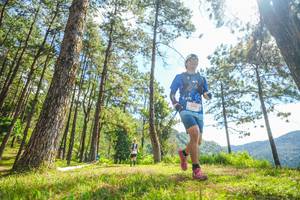 BIB: 100
                            <button type="button" onclick="openModal(19290548)" class="btn btn-primary btn-sm float-right btn-popup" data-toggle="modal" data-target=".modal-high-quality">
                        <i class="fas fa-shopping-cart"></i> Add to Cart
                    </button>
                                            <button type="button" onclick="isThisMe(19290548, true)" class="btn btn-success btn-sm float-right btn-popup btn-isme hidden" data-toggle="tooltip" data-placement="bottom" title="นี่คือรูปของคุณใช่ไหม คลิกที่นี่เพื่อเอาเข้าอัลบั้ม">
                        <i class="fas fa-plus"></i> Add to album
                    </button>
                    <button type="button" onclick="isThisMe(19290548, false)" class="btn btn-warning btn-sm float-right btn-popup btn-isnotme hidden">
                        <i class="fas fa-ban"></i> Remove from album
                    </button>