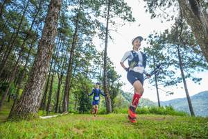 BIB: 
                            <button type="button" onclick="openModal(19288376)" class="btn btn-primary btn-sm float-right btn-popup" data-toggle="modal" data-target=".modal-high-quality">
                        <i class="fas fa-shopping-cart"></i> Add to Cart
                    </button>
                                            <button type="button" onclick="isThisMe(19288376, true)" class="btn btn-success btn-sm float-right btn-popup btn-isme hidden" data-toggle="tooltip" data-placement="bottom" title="นี่คือรูปของคุณใช่ไหม คลิกที่นี่เพื่อเอาเข้าอัลบั้ม">
                        <i class="fas fa-plus"></i> Add to album
                    </button>
                    <button type="button" onclick="isThisMe(19288376, false)" class="btn btn-warning btn-sm float-right btn-popup btn-isnotme hidden">
                        <i class="fas fa-ban"></i> Remove from album
                    </button>