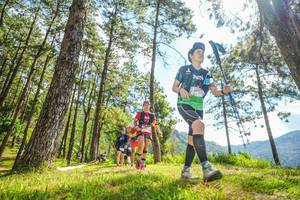 BIB: 
                            <button type="button" onclick="openModal(19289076)" class="btn btn-primary btn-sm float-right btn-popup" data-toggle="modal" data-target=".modal-high-quality">
                        <i class="fas fa-shopping-cart"></i> Add to Cart
                    </button>
                                            <button type="button" onclick="isThisMe(19289076, true)" class="btn btn-success btn-sm float-right btn-popup btn-isme hidden" data-toggle="tooltip" data-placement="bottom" title="นี่คือรูปของคุณใช่ไหม คลิกที่นี่เพื่อเอาเข้าอัลบั้ม">
                        <i class="fas fa-plus"></i> Add to album
                    </button>
                    <button type="button" onclick="isThisMe(19289076, false)" class="btn btn-warning btn-sm float-right btn-popup btn-isnotme hidden">
                        <i class="fas fa-ban"></i> Remove from album
                    </button>