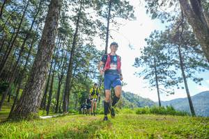 BIB: 22550
                            <button type="button" onclick="openModal(19283138)" class="btn btn-primary btn-sm float-right btn-popup" data-toggle="modal" data-target=".modal-high-quality">
                        <i class="fas fa-shopping-cart"></i> Add to Cart
                    </button>
                                            <button type="button" onclick="isThisMe(19283138, true)" class="btn btn-success btn-sm float-right btn-popup btn-isme hidden" data-toggle="tooltip" data-placement="bottom" title="นี่คือรูปของคุณใช่ไหม คลิกที่นี่เพื่อเอาเข้าอัลบั้ม">
                        <i class="fas fa-plus"></i> Add to album
                    </button>
                    <button type="button" onclick="isThisMe(19283138, false)" class="btn btn-warning btn-sm float-right btn-popup btn-isnotme hidden">
                        <i class="fas fa-ban"></i> Remove from album
                    </button>