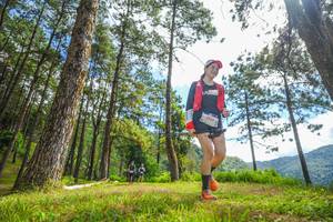 BIB: 1944
                            <button type="button" onclick="openModal(19291113)" class="btn btn-primary btn-sm float-right btn-popup" data-toggle="modal" data-target=".modal-high-quality">
                        <i class="fas fa-shopping-cart"></i> Add to Cart
                    </button>
                                            <button type="button" onclick="isThisMe(19291113, true)" class="btn btn-success btn-sm float-right btn-popup btn-isme hidden" data-toggle="tooltip" data-placement="bottom" title="นี่คือรูปของคุณใช่ไหม คลิกที่นี่เพื่อเอาเข้าอัลบั้ม">
                        <i class="fas fa-plus"></i> Add to album
                    </button>
                    <button type="button" onclick="isThisMe(19291113, false)" class="btn btn-warning btn-sm float-right btn-popup btn-isnotme hidden">
                        <i class="fas fa-ban"></i> Remove from album
                    </button>