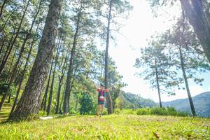 BIB: 
                            <button type="button" onclick="openModal(19284147)" class="btn btn-primary btn-sm float-right btn-popup" data-toggle="modal" data-target=".modal-high-quality">
                        <i class="fas fa-shopping-cart"></i> Add to Cart
                    </button>
                                            <button type="button" onclick="isThisMe(19284147, true)" class="btn btn-success btn-sm float-right btn-popup btn-isme hidden" data-toggle="tooltip" data-placement="bottom" title="นี่คือรูปของคุณใช่ไหม คลิกที่นี่เพื่อเอาเข้าอัลบั้ม">
                        <i class="fas fa-plus"></i> Add to album
                    </button>
                    <button type="button" onclick="isThisMe(19284147, false)" class="btn btn-warning btn-sm float-right btn-popup btn-isnotme hidden">
                        <i class="fas fa-ban"></i> Remove from album
                    </button>