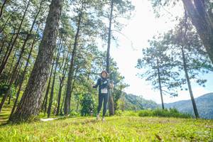 BIB: 
                            <button type="button" onclick="openModal(19284117)" class="btn btn-primary btn-sm float-right btn-popup" data-toggle="modal" data-target=".modal-high-quality">
                        <i class="fas fa-shopping-cart"></i> Add to Cart
                    </button>
                                            <button type="button" onclick="isThisMe(19284117, true)" class="btn btn-success btn-sm float-right btn-popup btn-isme hidden" data-toggle="tooltip" data-placement="bottom" title="นี่คือรูปของคุณใช่ไหม คลิกที่นี่เพื่อเอาเข้าอัลบั้ม">
                        <i class="fas fa-plus"></i> Add to album
                    </button>
                    <button type="button" onclick="isThisMe(19284117, false)" class="btn btn-warning btn-sm float-right btn-popup btn-isnotme hidden">
                        <i class="fas fa-ban"></i> Remove from album
                    </button>