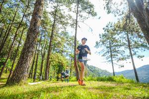 BIB: 
                            <button type="button" onclick="openModal(19289786)" class="btn btn-primary btn-sm float-right btn-popup" data-toggle="modal" data-target=".modal-high-quality">
                        <i class="fas fa-shopping-cart"></i> Add to Cart
                    </button>
                                            <button type="button" onclick="isThisMe(19289786, true)" class="btn btn-success btn-sm float-right btn-popup btn-isme hidden" data-toggle="tooltip" data-placement="bottom" title="นี่คือรูปของคุณใช่ไหม คลิกที่นี่เพื่อเอาเข้าอัลบั้ม">
                        <i class="fas fa-plus"></i> Add to album
                    </button>
                    <button type="button" onclick="isThisMe(19289786, false)" class="btn btn-warning btn-sm float-right btn-popup btn-isnotme hidden">
                        <i class="fas fa-ban"></i> Remove from album
                    </button>