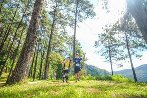 BIB: 
                            <button type="button" onclick="openModal(19290194)" class="btn btn-primary btn-sm float-right btn-popup" data-toggle="modal" data-target=".modal-high-quality">
                        <i class="fas fa-shopping-cart"></i> Add to Cart
                    </button>
                                            <button type="button" onclick="isThisMe(19290194, true)" class="btn btn-success btn-sm float-right btn-popup btn-isme hidden" data-toggle="tooltip" data-placement="bottom" title="นี่คือรูปของคุณใช่ไหม คลิกที่นี่เพื่อเอาเข้าอัลบั้ม">
                        <i class="fas fa-plus"></i> Add to album
                    </button>
                    <button type="button" onclick="isThisMe(19290194, false)" class="btn btn-warning btn-sm float-right btn-popup btn-isnotme hidden">
                        <i class="fas fa-ban"></i> Remove from album
                    </button>