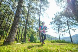 BIB: 
                            <button type="button" onclick="openModal(19285357)" class="btn btn-primary btn-sm float-right btn-popup" data-toggle="modal" data-target=".modal-high-quality">
                        <i class="fas fa-shopping-cart"></i> Add to Cart
                    </button>
                                            <button type="button" onclick="isThisMe(19285357, true)" class="btn btn-success btn-sm float-right btn-popup btn-isme hidden" data-toggle="tooltip" data-placement="bottom" title="นี่คือรูปของคุณใช่ไหม คลิกที่นี่เพื่อเอาเข้าอัลบั้ม">
                        <i class="fas fa-plus"></i> Add to album
                    </button>
                    <button type="button" onclick="isThisMe(19285357, false)" class="btn btn-warning btn-sm float-right btn-popup btn-isnotme hidden">
                        <i class="fas fa-ban"></i> Remove from album
                    </button>