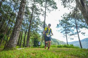 BIB: 
                            <button type="button" onclick="openModal(19287696)" class="btn btn-primary btn-sm float-right btn-popup" data-toggle="modal" data-target=".modal-high-quality">
                        <i class="fas fa-shopping-cart"></i> Add to Cart
                    </button>
                                            <button type="button" onclick="isThisMe(19287696, true)" class="btn btn-success btn-sm float-right btn-popup btn-isme hidden" data-toggle="tooltip" data-placement="bottom" title="นี่คือรูปของคุณใช่ไหม คลิกที่นี่เพื่อเอาเข้าอัลบั้ม">
                        <i class="fas fa-plus"></i> Add to album
                    </button>
                    <button type="button" onclick="isThisMe(19287696, false)" class="btn btn-warning btn-sm float-right btn-popup btn-isnotme hidden">
                        <i class="fas fa-ban"></i> Remove from album
                    </button>