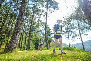 BIB: 
                            <button type="button" onclick="openModal(19288719)" class="btn btn-primary btn-sm float-right btn-popup" data-toggle="modal" data-target=".modal-high-quality">
                        <i class="fas fa-shopping-cart"></i> Add to Cart
                    </button>
                                            <button type="button" onclick="isThisMe(19288719, true)" class="btn btn-success btn-sm float-right btn-popup btn-isme hidden" data-toggle="tooltip" data-placement="bottom" title="นี่คือรูปของคุณใช่ไหม คลิกที่นี่เพื่อเอาเข้าอัลบั้ม">
                        <i class="fas fa-plus"></i> Add to album
                    </button>
                    <button type="button" onclick="isThisMe(19288719, false)" class="btn btn-warning btn-sm float-right btn-popup btn-isnotme hidden">
                        <i class="fas fa-ban"></i> Remove from album
                    </button>