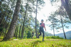 BIB: 
                            <button type="button" onclick="openModal(19284377)" class="btn btn-primary btn-sm float-right btn-popup" data-toggle="modal" data-target=".modal-high-quality">
                        <i class="fas fa-shopping-cart"></i> Add to Cart
                    </button>
                                            <button type="button" onclick="isThisMe(19284377, true)" class="btn btn-success btn-sm float-right btn-popup btn-isme hidden" data-toggle="tooltip" data-placement="bottom" title="นี่คือรูปของคุณใช่ไหม คลิกที่นี่เพื่อเอาเข้าอัลบั้ม">
                        <i class="fas fa-plus"></i> Add to album
                    </button>
                    <button type="button" onclick="isThisMe(19284377, false)" class="btn btn-warning btn-sm float-right btn-popup btn-isnotme hidden">
                        <i class="fas fa-ban"></i> Remove from album
                    </button>